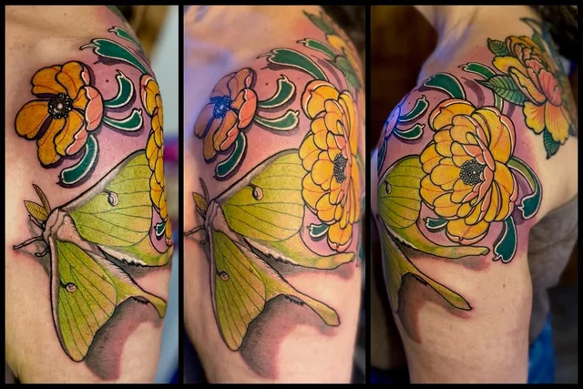 Craig Foster's work 4