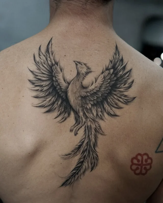 Fine line & Traditional Tattooing's work 3