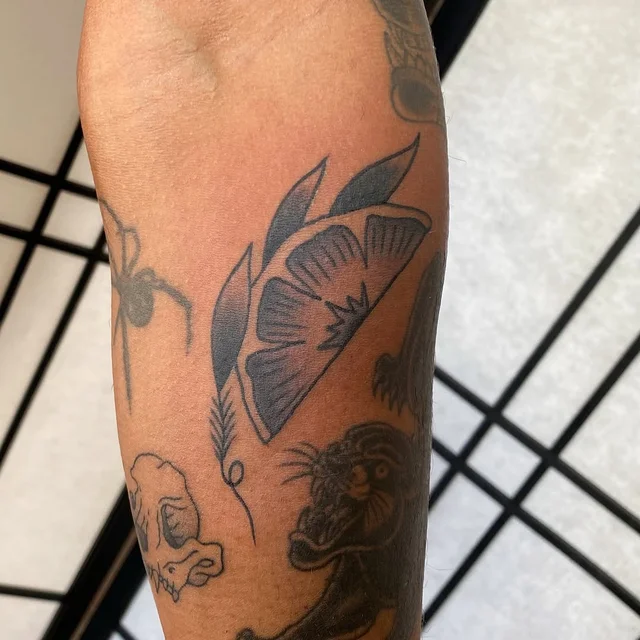 Fine line & Traditional Tattooing's work 1