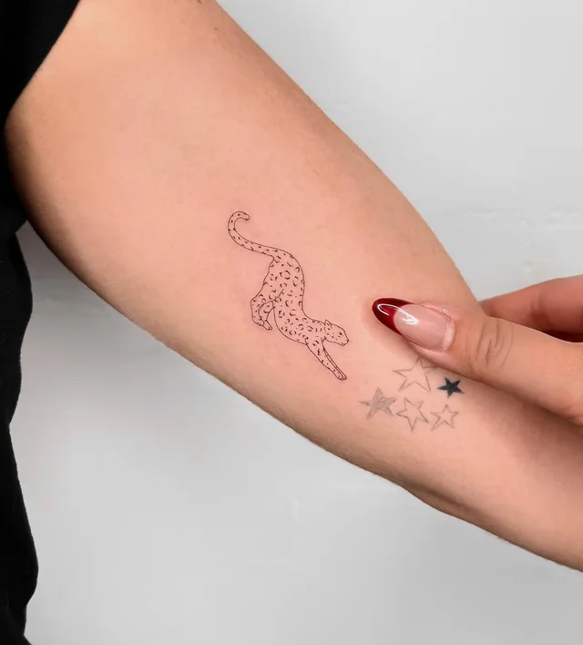 Austin Fine Line | Tiny's work 3