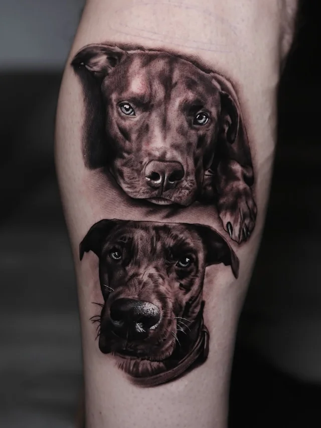 Dan McWilliams's work 4