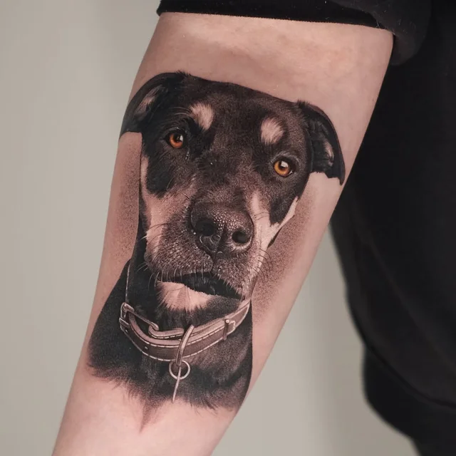 Jose Contreras -'s work 4