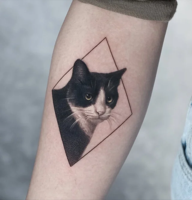 Jose Contreras -'s work 2