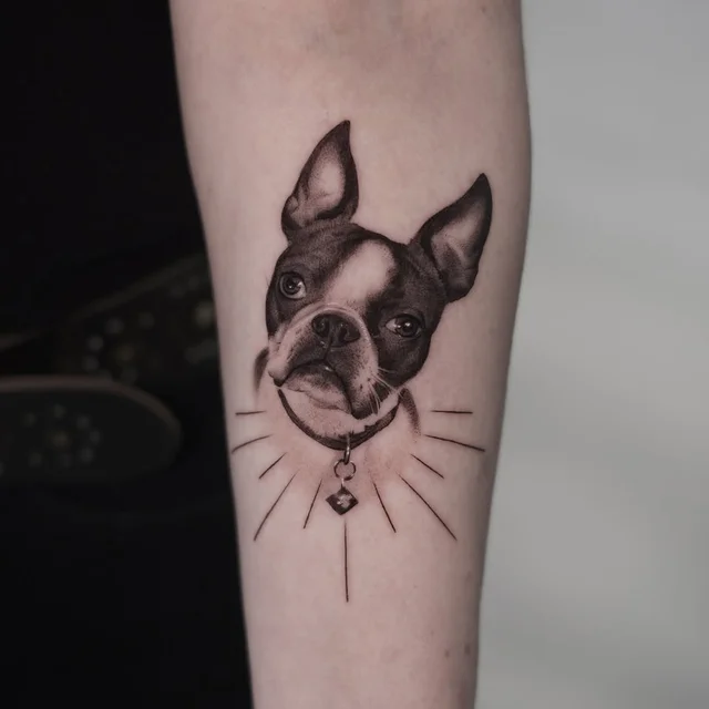 Jose Contreras -'s work 3