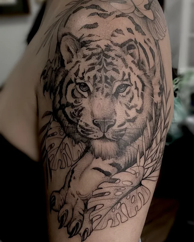 ALINE Sketch's work 1