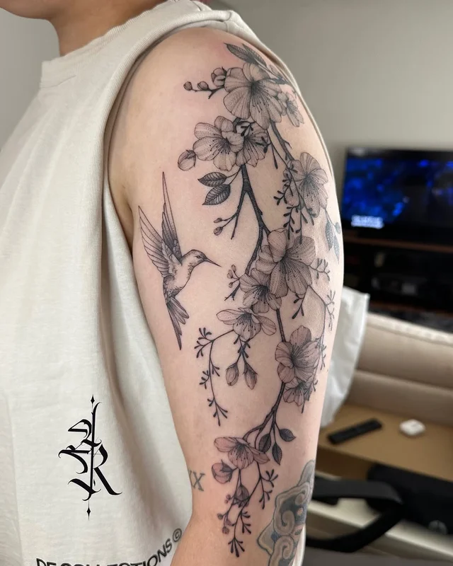 ALINE Sketch's work 2