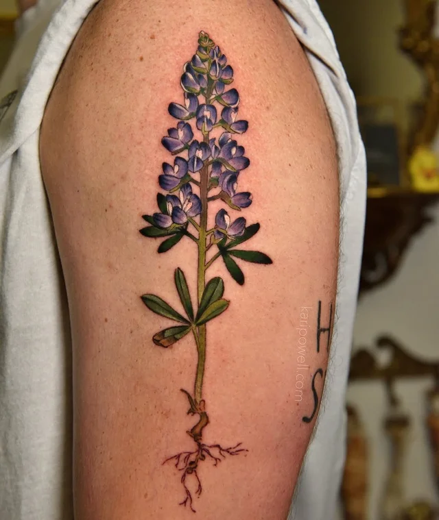 austin botanical's work 2