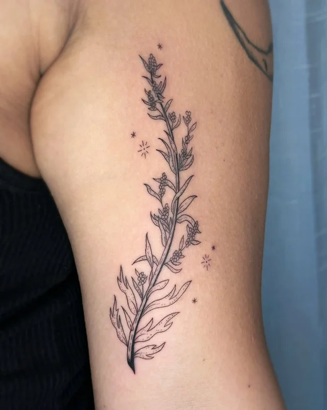 Arabella Vida's work 3