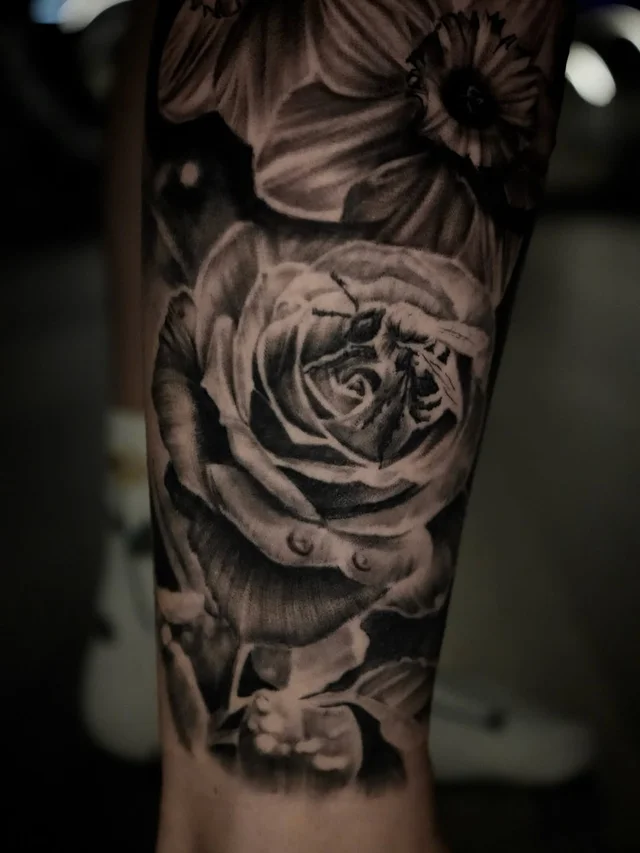 ᴄᴏᴜʀᴛɴɪᴇ ʜᴇʟʟᴇʀ's work 1